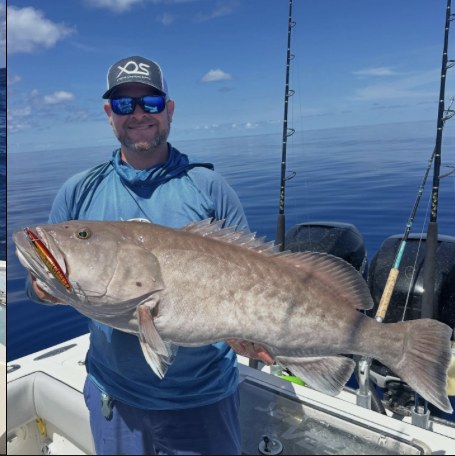 Gulf grouper boated on a tournament-tested XOS rod